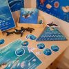 OCEAN - Łańcuch pokarmowy mórz i oceanów 2D i 3D