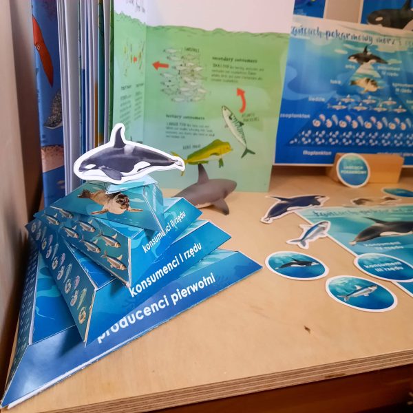 OCEAN - Łańcuch pokarmowy mórz i oceanów 2D i 3D