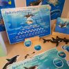 OCEAN - Łańcuch pokarmowy mórz i oceanów 2D i 3D