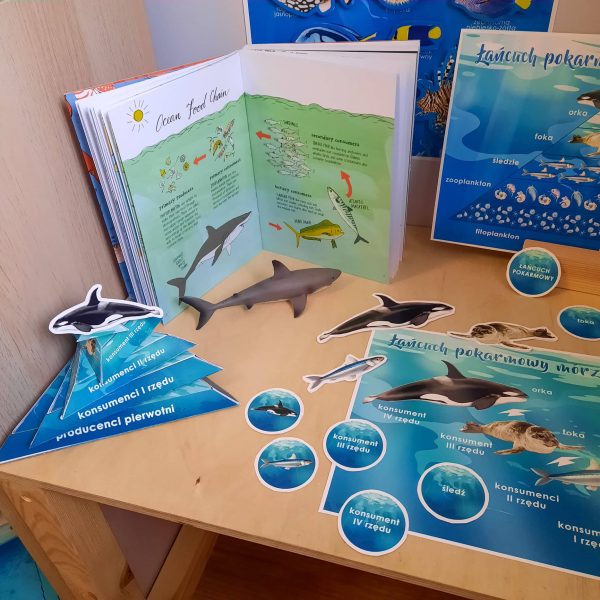OCEAN - Łańcuch pokarmowy mórz i oceanów 2D i 3D
