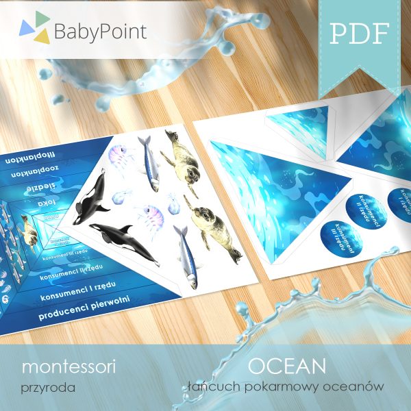 OCEAN - Zestaw edukacyjny 3D