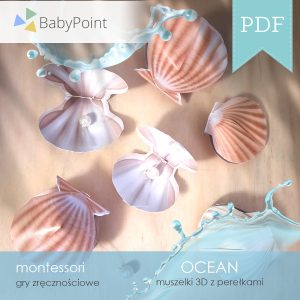 OCEAN - MUSZLE - Muszelki 3D