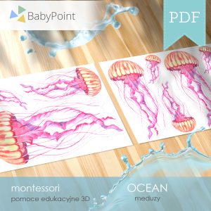 OCEAN - Zestaw edukacyjny 3D