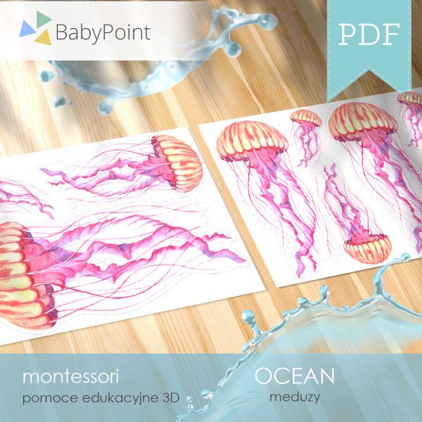 OCEAN - Zestaw edukacyjny 3D
