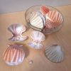 OCEAN - MUSZLE - Muszelki 3D