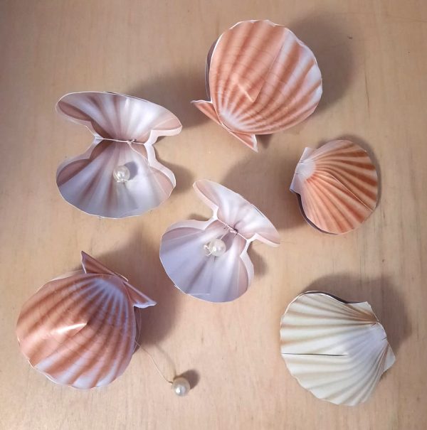 OCEAN - MUSZLE - Muszelki 3D
