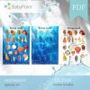 OCEAN - Muszle - Zestaw edukacyjny 3D
