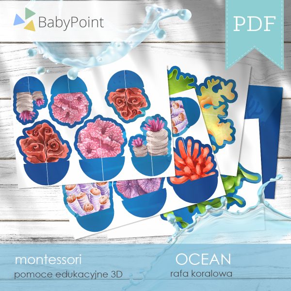 OCEAN - Zestaw edukacyjny 3D