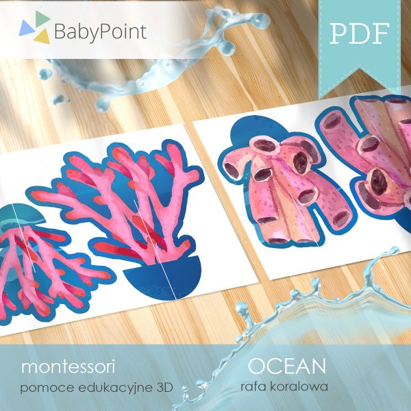 OCEAN - Zestaw edukacyjny 3D