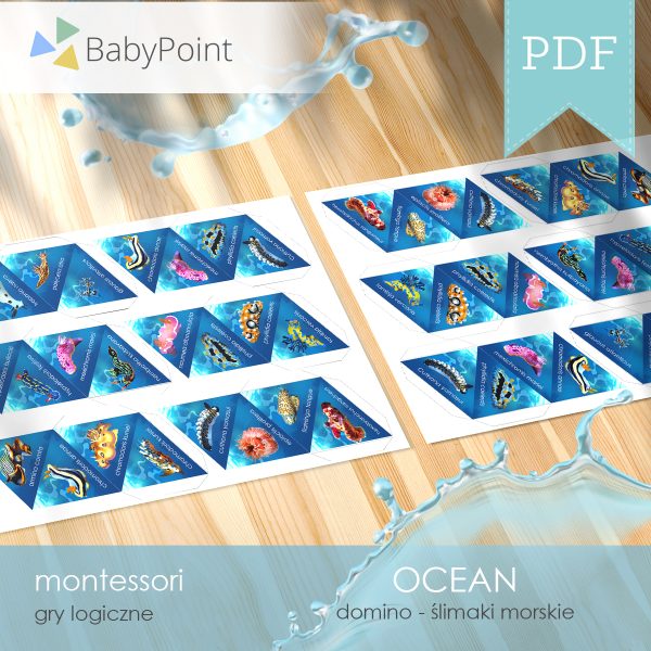 OCEAN - Zestaw edukacyjny 3D