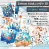 OCEAN - Muszle - Zestaw edukacyjny 3D