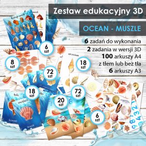 OCEAN - Muszle - Zestaw edukacyjny 3D