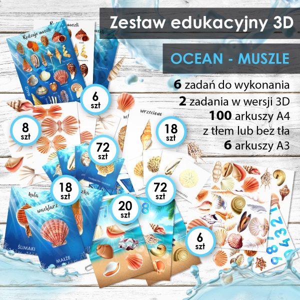 OCEAN - Muszle - Zestaw edukacyjny 3D