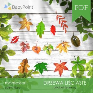 DRZEWA LIŚCIASTE - Zestaw edukacyjny 3D