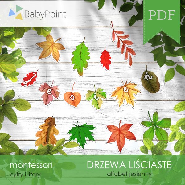 DRZEWA LIŚCIASTE - Zestaw edukacyjny 3D