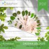 DRZEWA LIŚCIASTE - Zestaw edukacyjny 3D