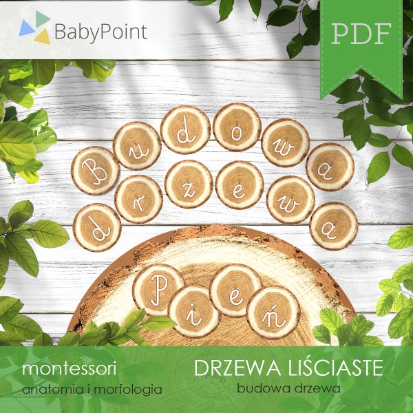 DRZEWA LIŚCIASTE - Zestaw edukacyjny 3D