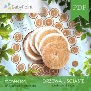 DRZEWA LIŚCIASTE - Zestaw edukacyjny 3D