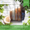 DRZEWA LIŚCIASTE - Zestaw edukacyjny 3D
