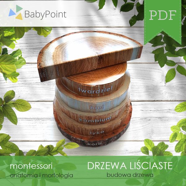 DRZEWA LIŚCIASTE - Zestaw edukacyjny 3D