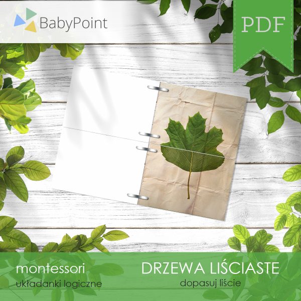 DRZEWA LIŚCIASTE - Zestaw edukacyjny 3D
