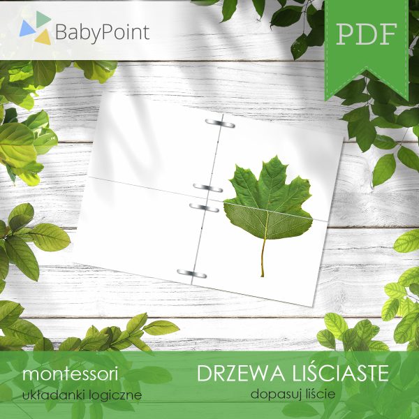 DRZEWA LIŚCIASTE - Zestaw edukacyjny 3D