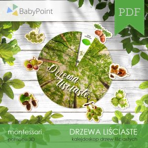DRZEWA LIŚCIASTE - Zestaw edukacyjny 3D