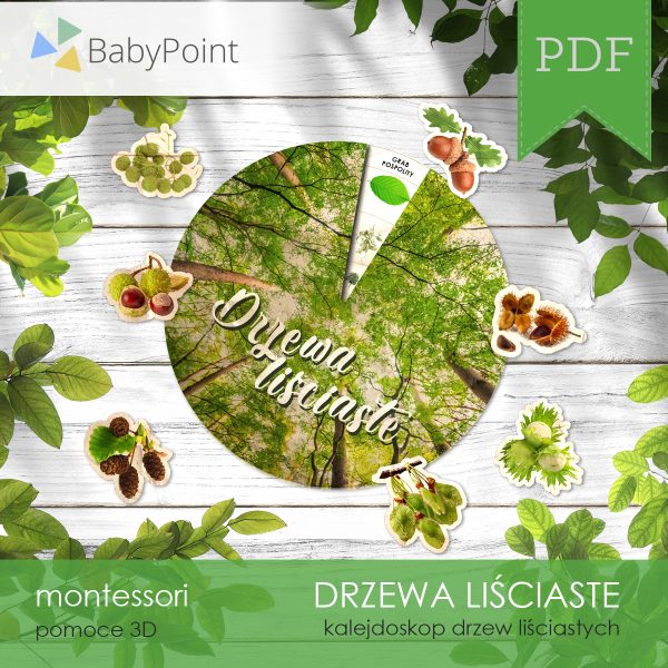 DRZEWA LIŚCIASTE - Zestaw edukacyjny 3D