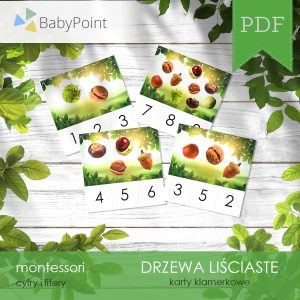 DRZEWA LIŚCIASTE - Zestaw edukacyjny 3D