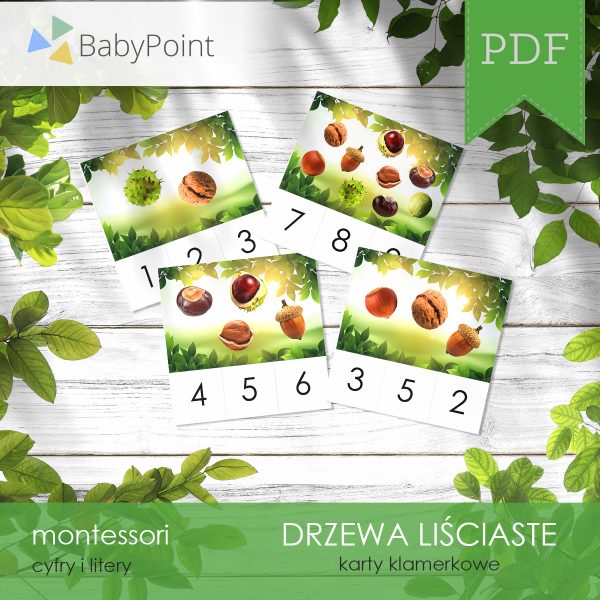 DRZEWA LIŚCIASTE - Zestaw edukacyjny 3D