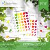 DRZEWA LIŚCIASTE - Zestaw edukacyjny 3D