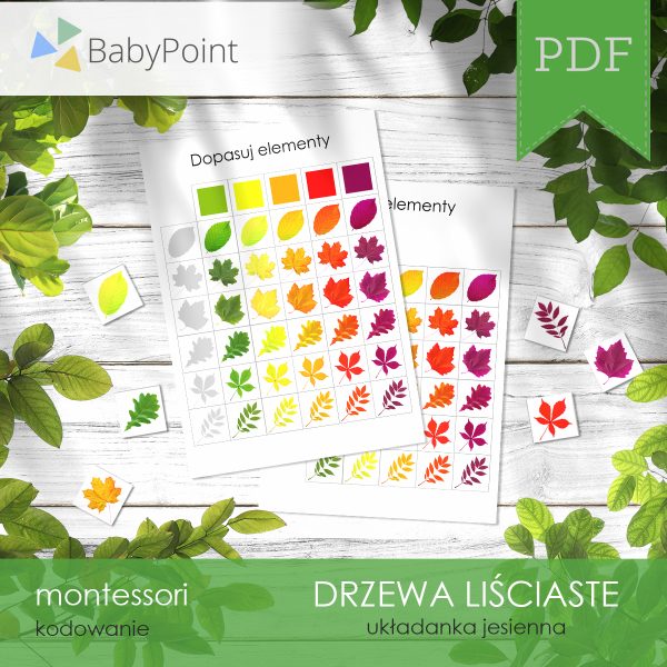 DRZEWA LIŚCIASTE - Zestaw edukacyjny 3D