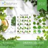 DRZEWA LIŚCIASTE - Zestaw edukacyjny 3D