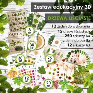 DRZEWA LIŚCIASTE - Zestaw edukacyjny 3D