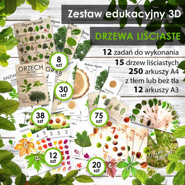 DRZEWA LIŚCIASTE - Zestaw edukacyjny 3D