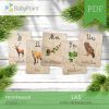LAS - Zestaw edukacyjny 3D