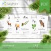LAS - Zestaw edukacyjny 3D