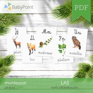 LAS - Zestaw edukacyjny 3D