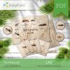 LAS - Zestaw edukacyjny 3D