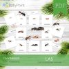 LAS - Zestaw edukacyjny 3D