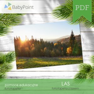 LAS - Fototapeta - 20 x A4