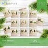 LAS - Zestaw edukacyjny 3D
