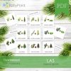 LAS - Zestaw edukacyjny 3D