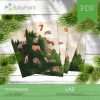 LAS - Zestaw edukacyjny 3D