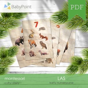 LAS - Zestaw edukacyjny 3D