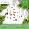 LAS - Zestaw edukacyjny 3D