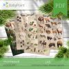 LAS - Zestaw edukacyjny 3D