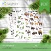 LAS - Zestaw edukacyjny 3D