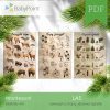 LAS - Zestaw edukacyjny 3D