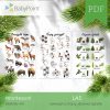 LAS - Zestaw edukacyjny 3D